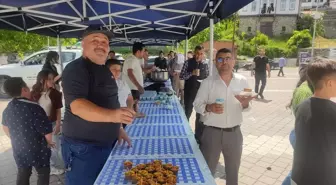 Küre'de Geleneksel Bayramlaşma Programı ve Pilav Şöleni Düzenlendi