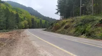 Kütahya'da Orman Yangınlarıyla Mücadelede Başarı