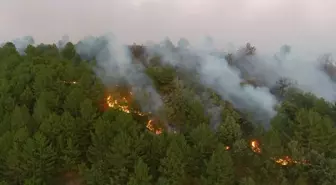 Kütahya'da Orman Yangını Kontrol Altına Alındı
