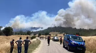 Kütahya'da Orman Yangınına Havadan ve Karadan Müdahale