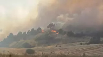 Dumlupınar'da Orman Yangınına Hava ve Karadan Müdahale