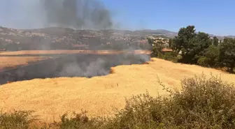 Kütahya'da Biçerdöver Yangın Çıkardı, Tarla Zarar Gördü