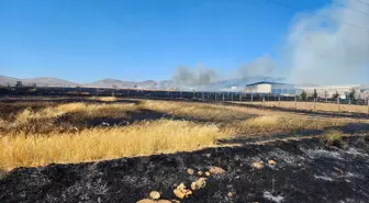 Kütahya'da Yangın: 800 Dekar Hububat Alanı Zarar Gördü