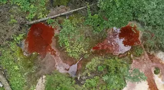 Giresun'daki Kuzalan Tabiat Parkı Ziyaretçilerini Büyülüyor