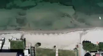 Kuzey Ege ve Güney Marmara'nın mavi bayraklı plajları yaz sezonuna hazır