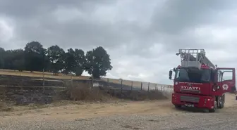 Samsun'da Anız Yangını Ormanlık Alana Ulaşmadan Söndürüldü