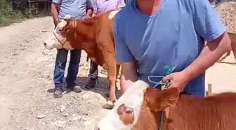 Mahalle Sakinleri Yeni Cami İçin Birlikte Hareket Ediyor