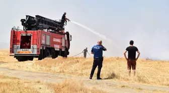 Lüleburgaz'da Anız Yangını Söndürüldü
