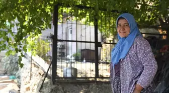 İzmir'de Yangın Müdahalesi: Komşusunun Havuzundan Su Çekerek Alevlere Direndi