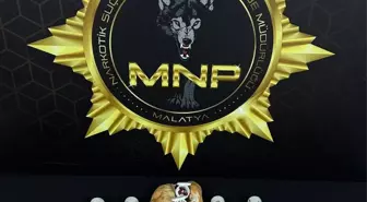 Malatya'da Ekmeğin Arasına Uyuşturucu Gizleyen İki Şüpheli Gözaltına Alındı
