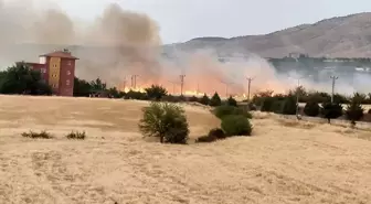 Malatya'nın Kale İlçesinde Yangın: 30 Ağaç ve 30 Dönüm Alan Zarar Gördü