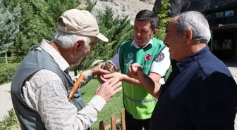 Yaralı Kerkenez Kuşu Yavrusuna Kurtarma Operasyonu