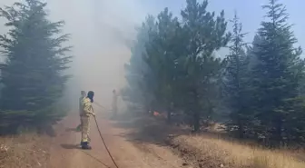 Malatya'da Orman Yangını Söndürüldü