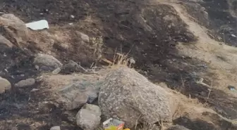 Maltepe'de Havai Fişekle Yangın Çıkaran Şüpheli Yakalandı