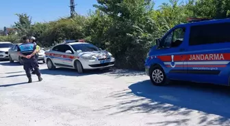 Manavgat'ta Aslan Yaralanmasına Sebep Olan Hayvan Parkı Mühürlendi