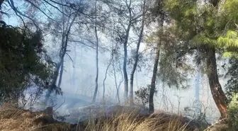 Manavgat'ta Tarım Arazisinde Yangın Çıktı