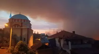 Manisa'da Orman Yangınlarına Hava Müdahalesi Başladı