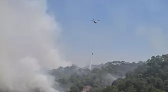 Manisa'da Orman Yangınlarıyla Mücadele Planı Başarıyla Uygulanıyor