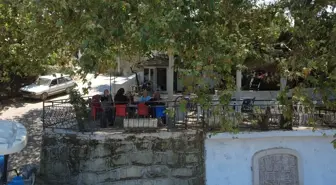 Asırlık Çınar Ağacının Altında Çay Keyfi