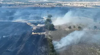 Manisa'nın Kula ilçesinde buğday tarlasında yangın
