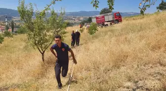 Manisa'da Orman Yangını Kontrol Altına Alındı