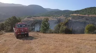 Manisa'da Orman Yangını Kontrol Altına Alındı