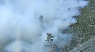 Manisa'nın Soma İlçesinde Orman Yangınına Hava ve Kara Müdahalesi