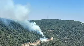 Manisa'da Orman Yangınına Havadan ve Karadan Müdahale