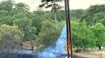 Manisa'da Orman Yangınına Hızlı Müdahale