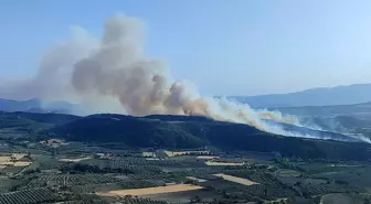Manisa Kırkağaç'ta Orman Yangınına Müdahale Devam Ediyor