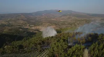 Demirci'de Orman Yangını Kontrol Altına Alındı