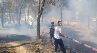 Manisa'da Otluk Alanda Yangın Çıktı