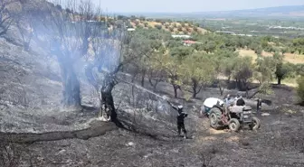 Manisa Turgutlu'daki Tarım Arazisinde Yangın Kontrol Altına Alındı
