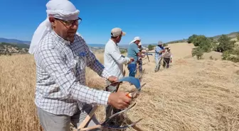 Demirci'de Hasat Geleneği Devam Ediyor