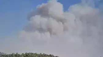 Manisa'da Orman Yangını: Havadan ve Karadan Mücadele