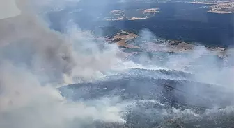 Manisa'nın Kula İlçesinde Orman Yangını: Ekipler Havadan ve Karadan Müdahale Ediyor
