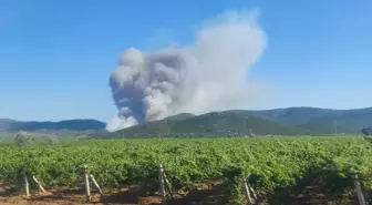 Manisa'da Orman Yangınına Hızla Müdahale Ediliyor