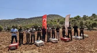 Mardin'de 300 Kınalı Keklik Doğaya Salındı