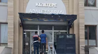 Mardin'de Anız Yakan Kişi Gözaltına Alındı
