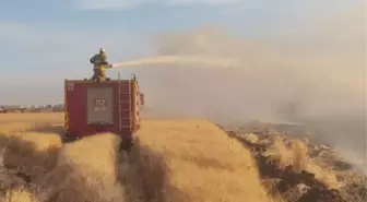 Kızıltepe'de Buğday Alanlarında Yangın: 350 Dönüm Zarar Görüldü