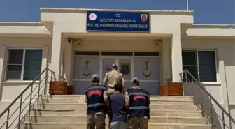 Kızıltepe'de Hayvanların Kısırlaştırılması Üzerine Uygunsuz Paylaşım Yapan Kişi Gözaltına Alındı