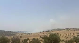 Mardin'de Orman Yangını Kontrol Altına Alındı