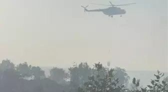 Nusaybin'de Orman Yangınına Müdahale Devam Ediyor
