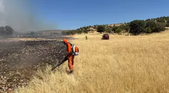 Mardin Savur'da Orman Yangını Söndürme Çalışmaları Devam Ediyor