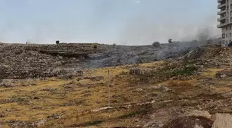Mardin Artuklu'da Otluk Alanda Yangın Çıktı