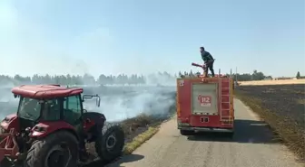 Mardin'de Yangın: 350 Dekar Buğday Alanı Zarar Gördü