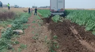Kızıltepe'de Tır Kontrolden Çıktı: Sürücü Yaralandı