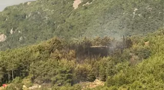 Marmaris'te Orman Yangını Kontrol Altına Alındı