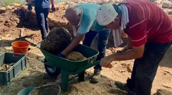 Kedreai Antik Kenti'nde 2025 Kazı Çalışmaları Devam Ediyor