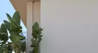 Zafer Süral, MASTOB'un Yeni Başkanı Seçildi